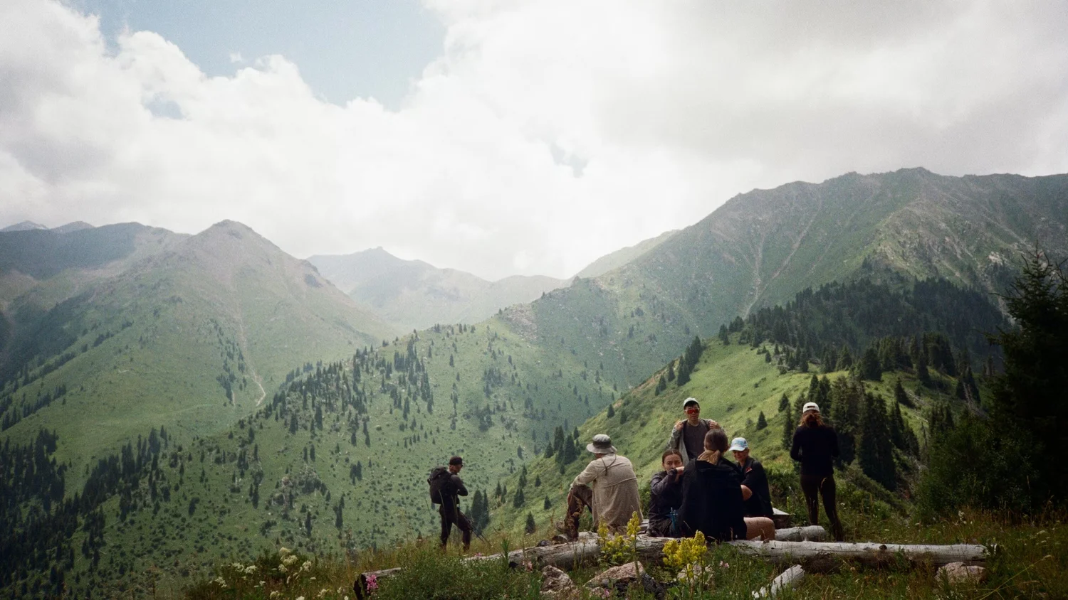 I servizi su misura di The M Legacy