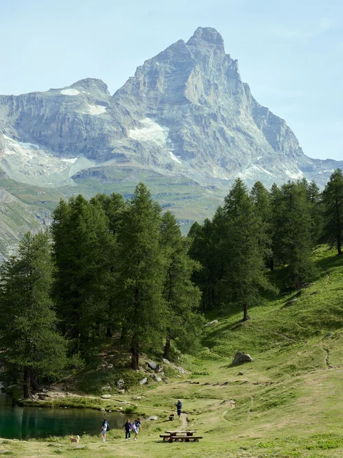 Hotel Europa: Alpine flavours at 2,050m above sea level Hotel Europa: Alpine flavours at 2,050m above sea level