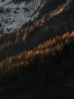 Luxury hotels, chalets & suites in Cervinia – Aosta Valley