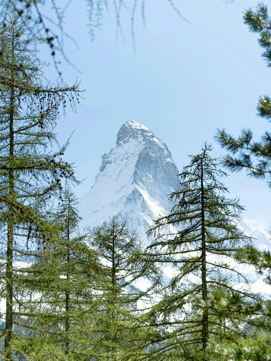Photos pour conte de fées au Chalet Il Gufo