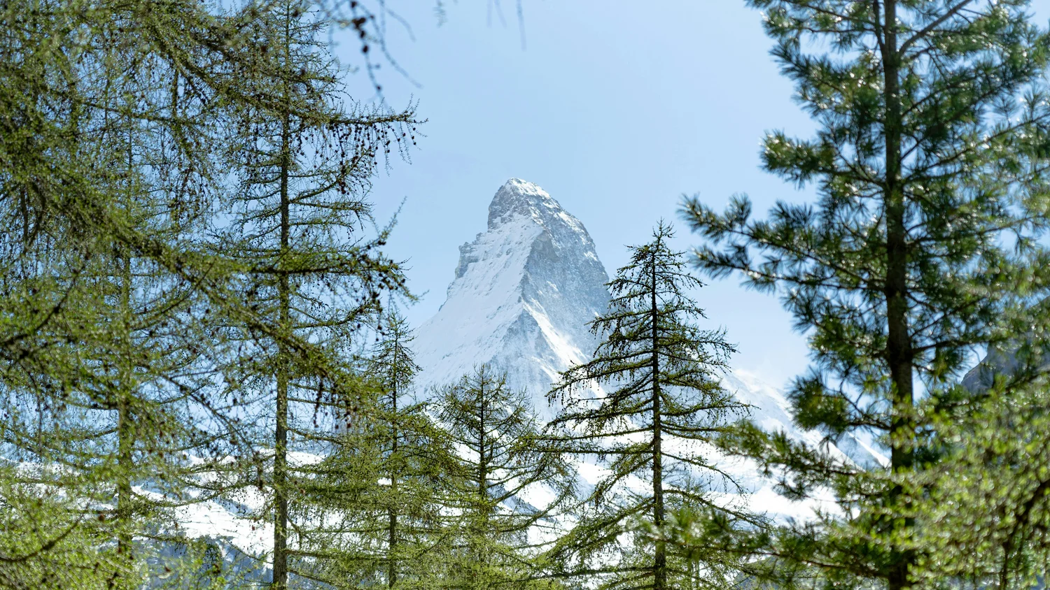 Fuori dai nostri hotel: il Cervino, una vetta leggendaria. Fuori dai nostri hotel: il Cervino, una vetta leggendaria.